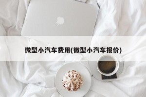 微型小汽车费用(微型小汽车报价)
